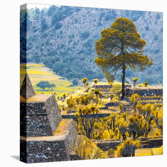 ¡Viva Mexico! Square Collection - Cantona Archaeological Ruins II - Puebla-Philippe Hugonnard-Stretched Canvas