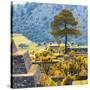 ¡Viva Mexico! Square Collection - Cantona Archaeological Ruins II - Puebla-Philippe Hugonnard-Stretched Canvas