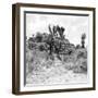 ¡Viva Mexico! Square Collection - Cantona Archaeological Ruins II-Philippe Hugonnard-Framed Photographic Print