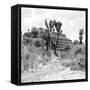 ¡Viva Mexico! Square Collection - Cantona Archaeological Ruins II-Philippe Hugonnard-Framed Stretched Canvas