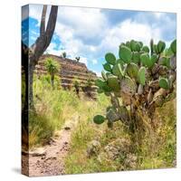 ¡Viva Mexico! Square Collection - Cantona Archaeological Ruins III-Philippe Hugonnard-Stretched Canvas