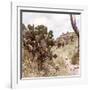 ¡Viva Mexico! Square Collection - Cantona Archaeological Ruins IV-Philippe Hugonnard-Framed Photographic Print