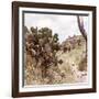 ¡Viva Mexico! Square Collection - Cantona Archaeological Ruins IV-Philippe Hugonnard-Framed Photographic Print