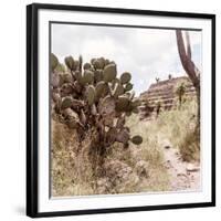 ¡Viva Mexico! Square Collection - Cantona Archaeological Ruins IV-Philippe Hugonnard-Framed Photographic Print