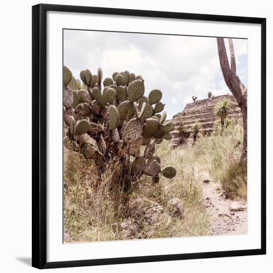 ¡Viva Mexico! Square Collection - Cantona Archaeological Ruins IV-Philippe Hugonnard-Framed Photographic Print