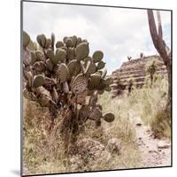 ¡Viva Mexico! Square Collection - Cantona Archaeological Ruins IV-Philippe Hugonnard-Mounted Photographic Print