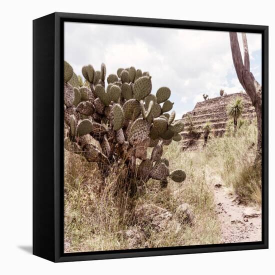 ¡Viva Mexico! Square Collection - Cantona Archaeological Ruins IV-Philippe Hugonnard-Framed Stretched Canvas