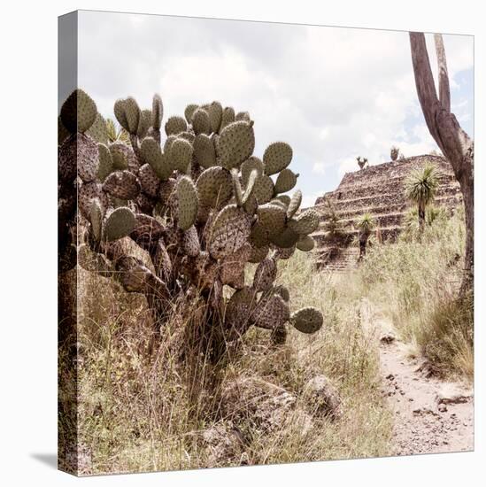 ¡Viva Mexico! Square Collection - Cantona Archaeological Ruins IV-Philippe Hugonnard-Stretched Canvas