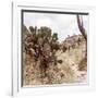 ¡Viva Mexico! Square Collection - Cantona Archaeological Ruins IV-Philippe Hugonnard-Framed Photographic Print