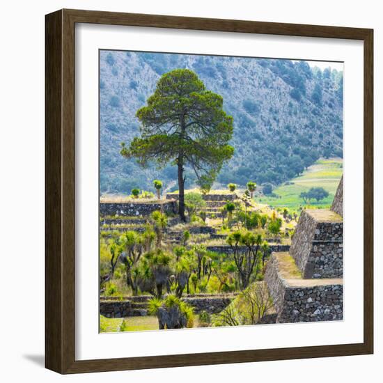 ¡Viva Mexico! Square Collection - Cantona Archaeological Ruins - Puebla-Philippe Hugonnard-Framed Photographic Print