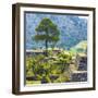 ¡Viva Mexico! Square Collection - Cantona Archaeological Ruins - Puebla-Philippe Hugonnard-Framed Photographic Print