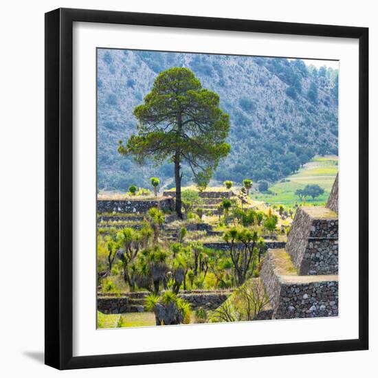 ¡Viva Mexico! Square Collection - Cantona Archaeological Ruins - Puebla-Philippe Hugonnard-Framed Photographic Print