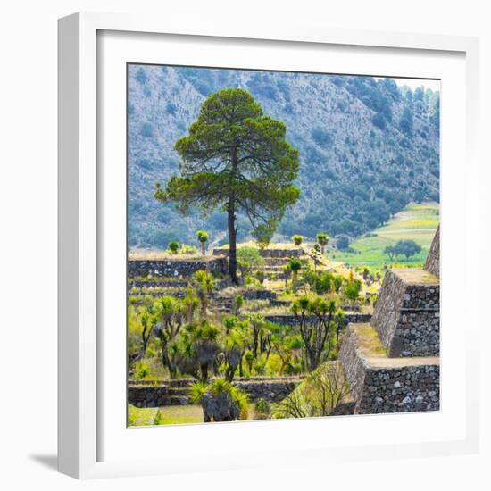 ¡Viva Mexico! Square Collection - Cantona Archaeological Ruins - Puebla-Philippe Hugonnard-Framed Photographic Print