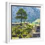 ¡Viva Mexico! Square Collection - Cantona Archaeological Ruins - Puebla-Philippe Hugonnard-Framed Photographic Print