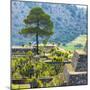¡Viva Mexico! Square Collection - Cantona Archaeological Ruins - Puebla-Philippe Hugonnard-Mounted Photographic Print