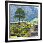 ¡Viva Mexico! Square Collection - Cantona Archaeological Ruins - Puebla-Philippe Hugonnard-Framed Photographic Print