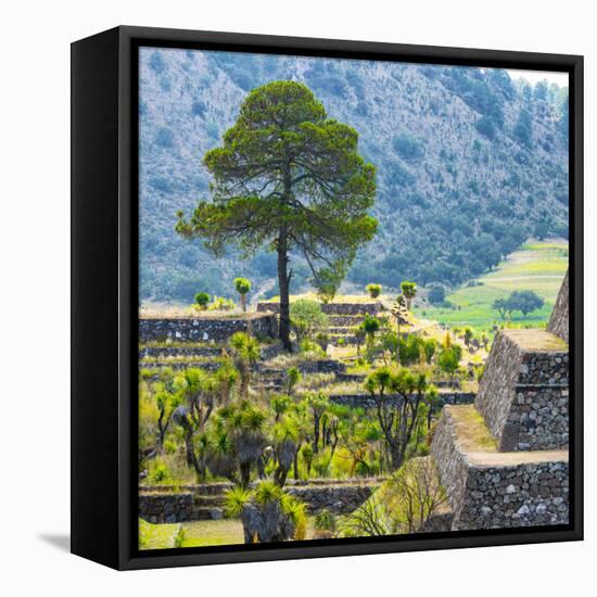 ¡Viva Mexico! Square Collection - Cantona Archaeological Ruins - Puebla-Philippe Hugonnard-Framed Stretched Canvas