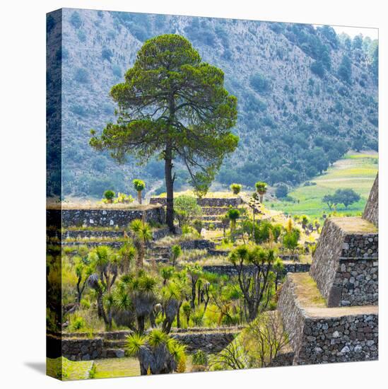 ¡Viva Mexico! Square Collection - Cantona Archaeological Ruins - Puebla-Philippe Hugonnard-Stretched Canvas