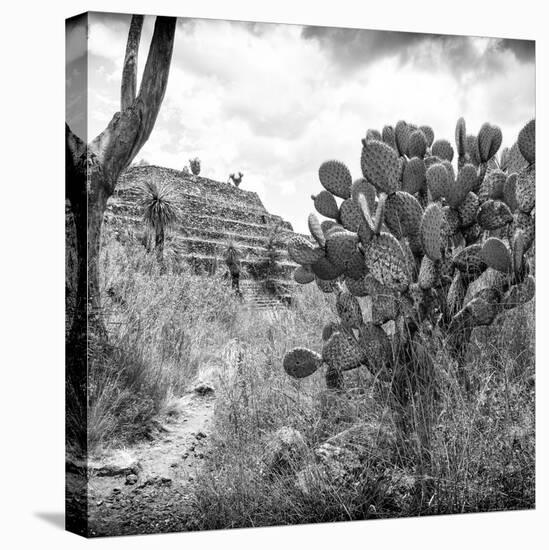 ?Viva Mexico! Square Collection - Cantona Archaeological Ruins V-Philippe Hugonnard-Stretched Canvas