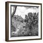 ?Viva Mexico! Square Collection - Cantona Archaeological Ruins V-Philippe Hugonnard-Framed Photographic Print