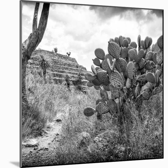 ?Viva Mexico! Square Collection - Cantona Archaeological Ruins V-Philippe Hugonnard-Mounted Photographic Print
