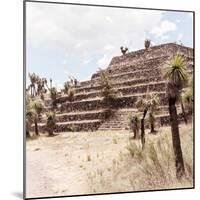 ¡Viva Mexico! Square Collection - Cantona Archaeological Ruins VII-Philippe Hugonnard-Mounted Photographic Print