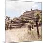 ¡Viva Mexico! Square Collection - Cantona Archaeological Ruins VII-Philippe Hugonnard-Mounted Photographic Print