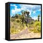 ¡Viva Mexico! Square Collection - Cantona Archaeological Ruins-Philippe Hugonnard-Framed Stretched Canvas