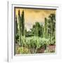 ¡Viva Mexico! Square Collection - Cardon Cactus at Sunset-Philippe Hugonnard-Framed Photographic Print