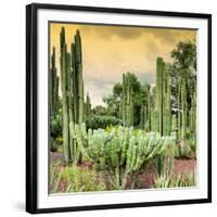 ¡Viva Mexico! Square Collection - Cardon Cactus at Sunset-Philippe Hugonnard-Framed Photographic Print