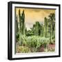 ¡Viva Mexico! Square Collection - Cardon Cactus at Sunset-Philippe Hugonnard-Framed Photographic Print