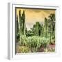 ¡Viva Mexico! Square Collection - Cardon Cactus at Sunset-Philippe Hugonnard-Framed Photographic Print