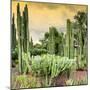 ¡Viva Mexico! Square Collection - Cardon Cactus at Sunset-Philippe Hugonnard-Mounted Photographic Print
