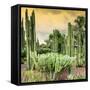 ¡Viva Mexico! Square Collection - Cardon Cactus at Sunset-Philippe Hugonnard-Framed Stretched Canvas