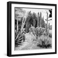 ¡Viva Mexico! Square Collection - Cardon Cactus B&W III-Philippe Hugonnard-Framed Photographic Print