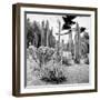 ¡Viva Mexico! Square Collection - Cardon Cactus B&W IV-Philippe Hugonnard-Framed Photographic Print