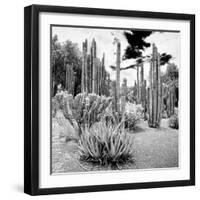 ¡Viva Mexico! Square Collection - Cardon Cactus B&W IV-Philippe Hugonnard-Framed Photographic Print