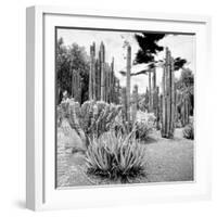 ¡Viva Mexico! Square Collection - Cardon Cactus B&W IV-Philippe Hugonnard-Framed Photographic Print