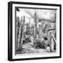 ¡Viva Mexico! Square Collection - Cardon Cactus B&W V-Philippe Hugonnard-Framed Photographic Print