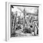 ¡Viva Mexico! Square Collection - Cardon Cactus B&W V-Philippe Hugonnard-Framed Photographic Print