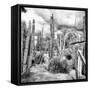 ¡Viva Mexico! Square Collection - Cardon Cactus B&W V-Philippe Hugonnard-Framed Stretched Canvas