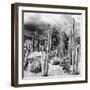 ¡Viva Mexico! Square Collection - Cardon Cactus B&W-Philippe Hugonnard-Framed Photographic Print