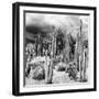 ¡Viva Mexico! Square Collection - Cardon Cactus B&W-Philippe Hugonnard-Framed Photographic Print