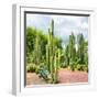 ¡Viva Mexico! Square Collection - Cardon Cactus II-Philippe Hugonnard-Framed Photographic Print