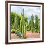 ¡Viva Mexico! Square Collection - Cardon Cactus II-Philippe Hugonnard-Framed Photographic Print