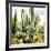 ¡Viva Mexico! Square Collection - Cardon Cactus IX-Philippe Hugonnard-Framed Photographic Print