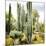 ¡Viva Mexico! Square Collection - Cardon Cactus IX-Philippe Hugonnard-Mounted Photographic Print