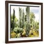 ¡Viva Mexico! Square Collection - Cardon Cactus IX-Philippe Hugonnard-Framed Photographic Print