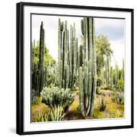 ¡Viva Mexico! Square Collection - Cardon Cactus IX-Philippe Hugonnard-Framed Photographic Print
