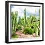 ¡Viva Mexico! Square Collection - Cardon Cactus V-Philippe Hugonnard-Framed Photographic Print